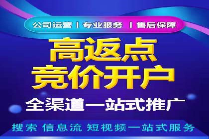 百度推广运营实战技巧：案例教学与解析